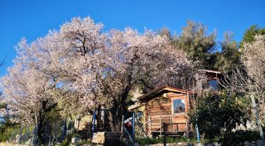 Alınca Catchy Camping