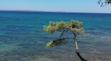 Dolmuş Camping