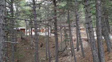 Murat Dağı Piknik Alanı