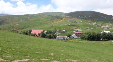 Çambaşı Yaylası