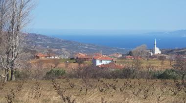 Kumbağ Mesire Yeri