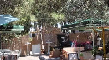 Yeşil Kamp