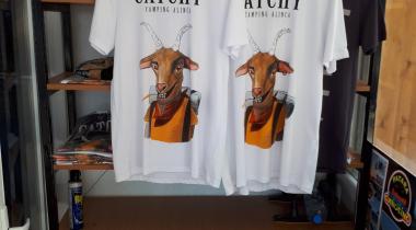 Alınca Catchy Camping