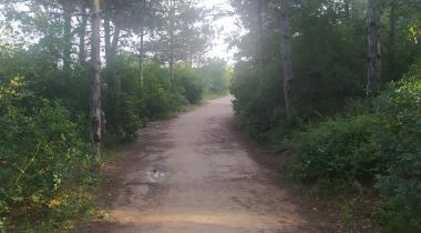 Yumrukaya Piknik Alanı