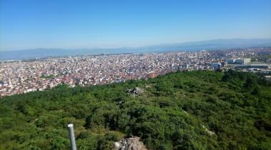 Yumrukaya Piknik Alanı