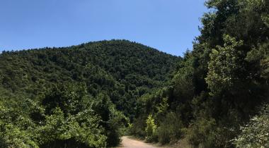 Derince Piknik Alanı
