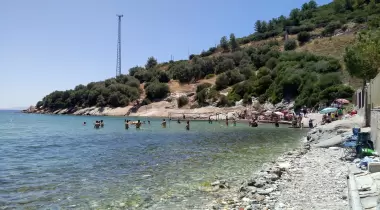 Maydonoz Koyum