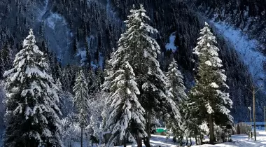 TUVA VİLLA BUNGALOV