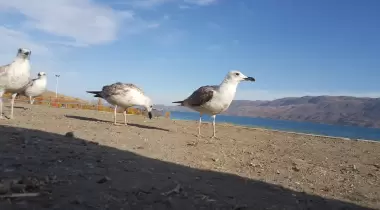 Hazar Gölü Tabiat Parkı