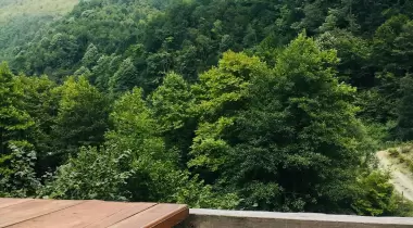 Kartal Vadisi Dağ Evleri