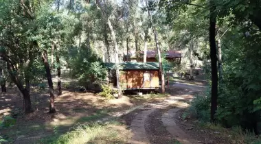 Kestep Sanat ve Yasam Kampı