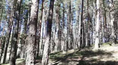 Şahinler Tabiat Parkı