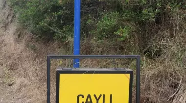 Çaylı kamping