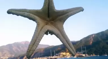 Lebi derya aksazlar kamp