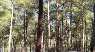 Kamp Adana Macera Parkı Kamp Alanı