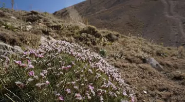Karayalak Kamp Alanı