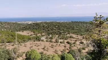 Yakamanastır Tabiat Parkı