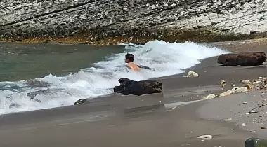 Zeus Koyu