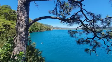 Akyaka Orman Kampı