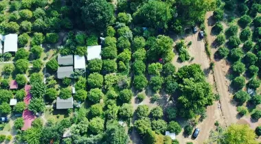 Tavus Kuşu Camping