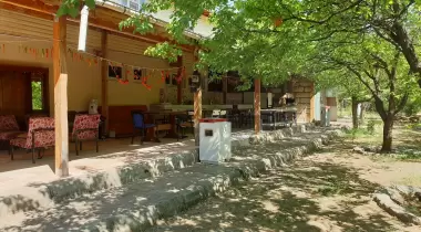 Ricardo Camping