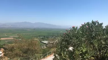 Adnan Menderes Kent Ormanı