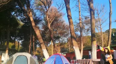 Green Park Camping
