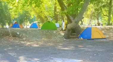 Tavus Kuşu Camping