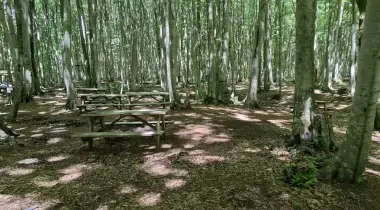 Eriklitepe Tabiat Parkı