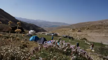 Karayalak Kamp Alanı