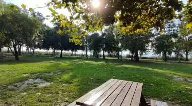 Seka kamp piknik alanı