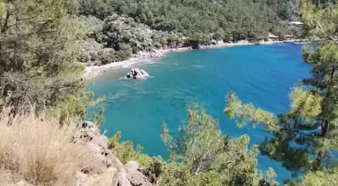 Zeytinlik Kamp Olivium
