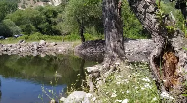 Süvari Eko Kamp