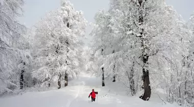 Kartepe Kayak Merkezi
