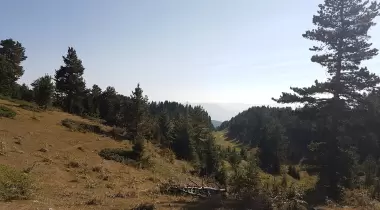 Balıklıgöl