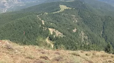 Okluk Yaylası