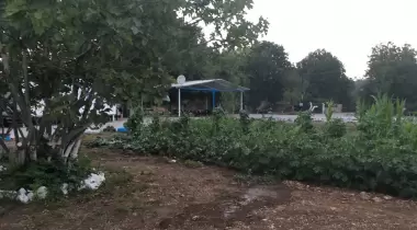 Doğa ve çevre aktivistleri