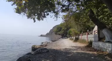 Uçmak Dere Kamp Alanı