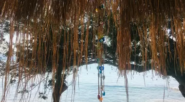 Turnalı Boncuk Camping