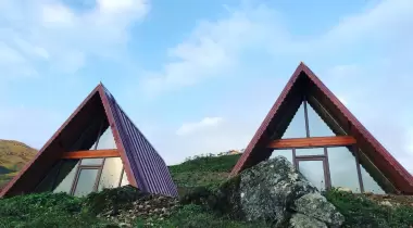 Bear bungalov