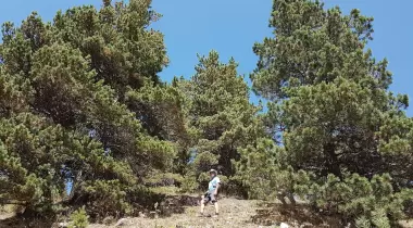 Balıklıgöl