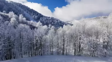 Kartepe Kayak Merkezi
