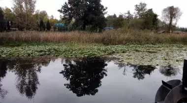 Seka kamp piknik alanı