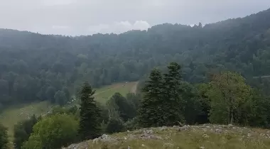 Molla yakup çayırı