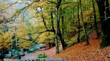 Suuçtu Tabiat Parkı