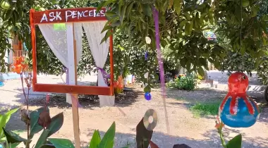 Mavi Yeşil Çadır Kamp Alanı