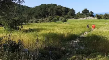 Çeti Camping