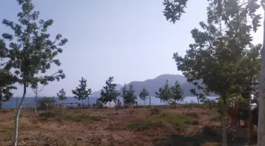 Zeytinlik Kamp Olivium