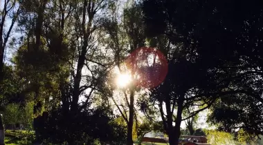Yakamanastır Tabiat Parkı