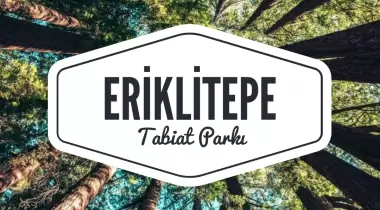Eriklitepe Tabiat Parkı